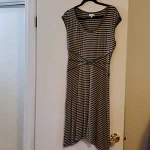 Max studio olive stripe dress